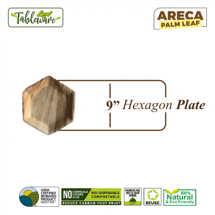9" Hexagon Dinner Plate